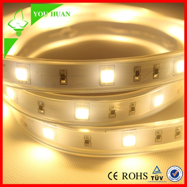 LED China supplier 3 years warranty light LED striscia