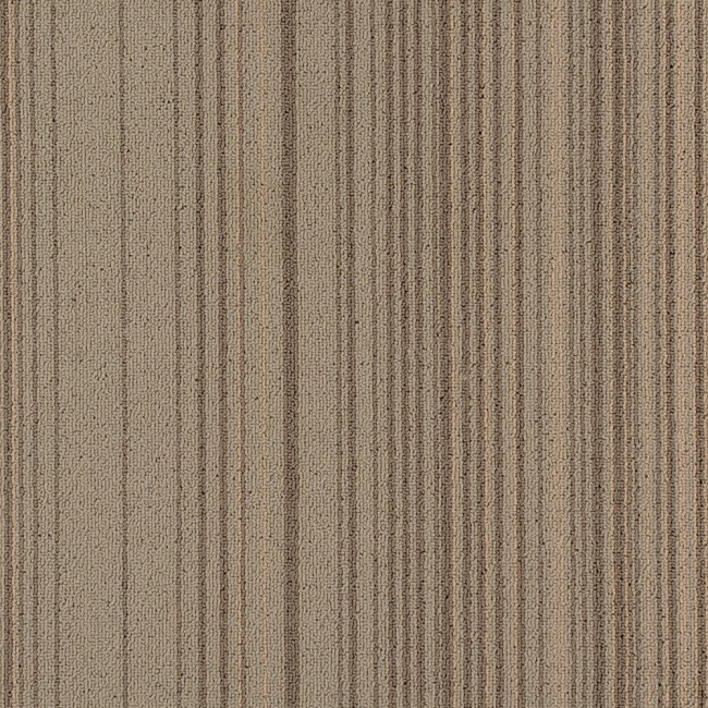 Commercial Carpet Tiles 50x50 for Office