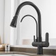 Matte Black Filtered Crane For Kitchen Pull Out Spray 360 Rotation Water Filter Tap Three Ways Sink Mixer Water Basin Faucet