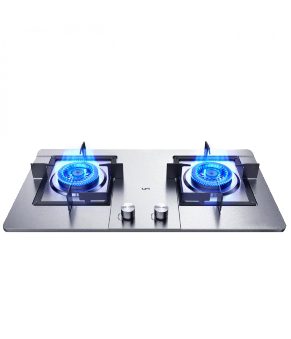 Embedded Gas Stove Double Household Cooking Machine Stainless Steel Cooktop LPG/Natural Gas Cooker