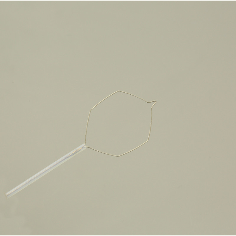 Disposable Polypectomy Snare 02