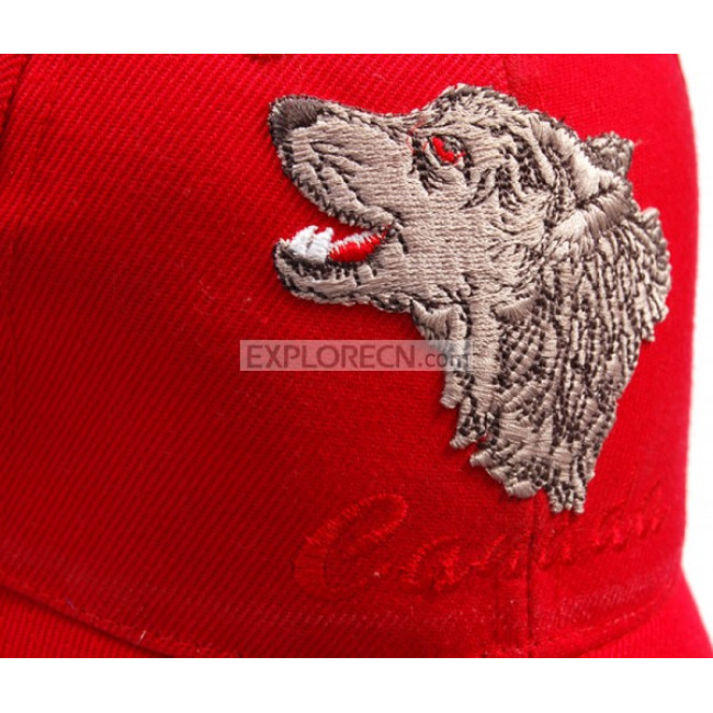 Brushed cotton cap with 3D embroidered
