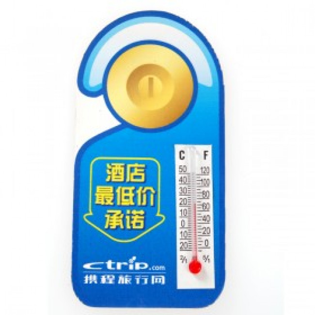 Fridge magnet with thermometer