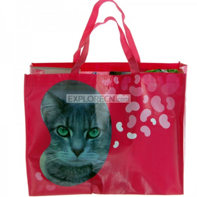 Large Non-woven Bag With Coating