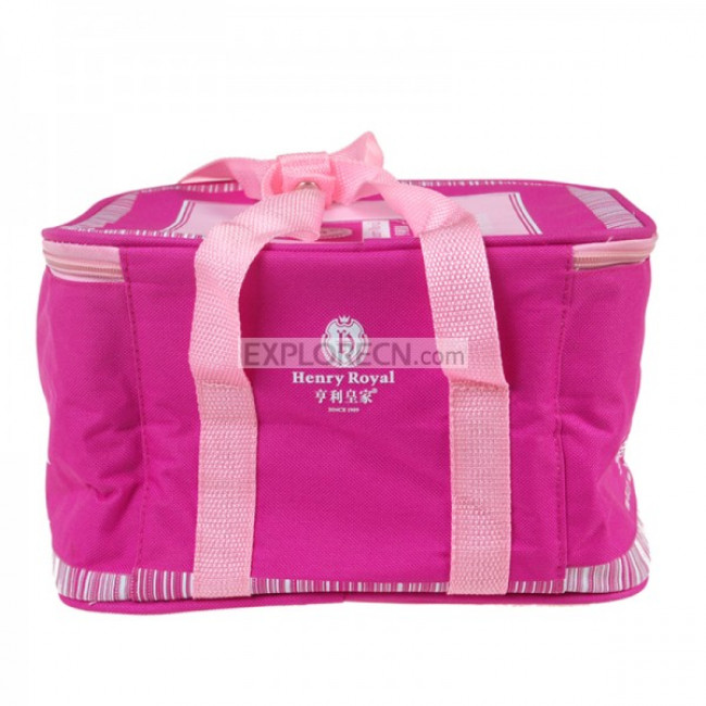 Squared insulated cooler bag
