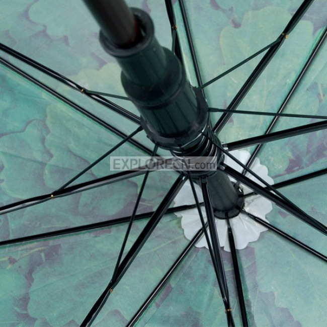 Wooden Umbrella With Leaf Printing