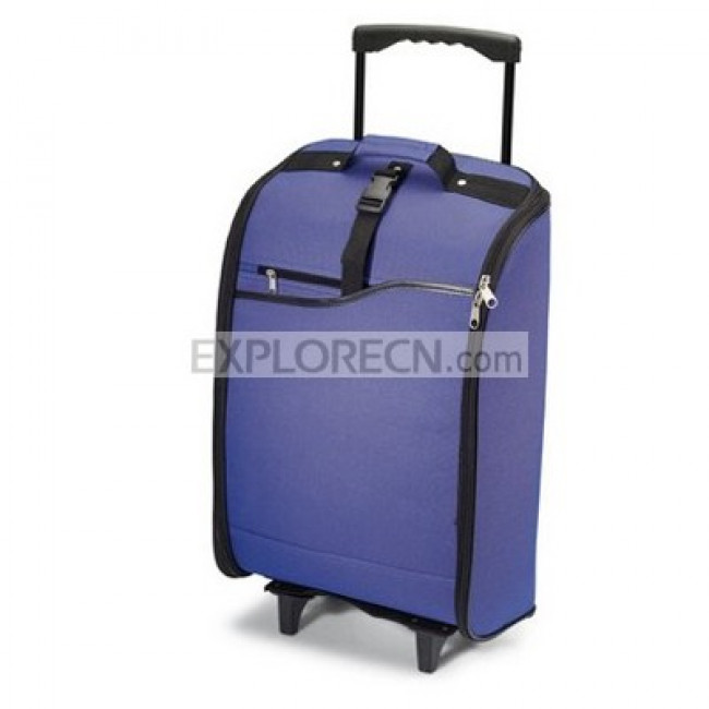 Polyester hard trolley case