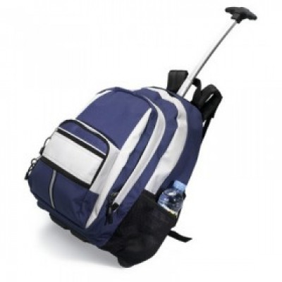 Two coloured trolley backpack bag