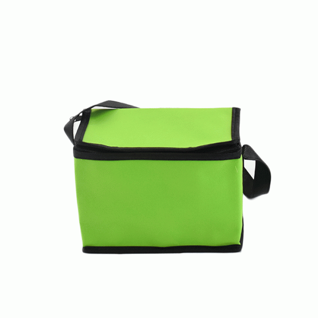 Small size cooler bag