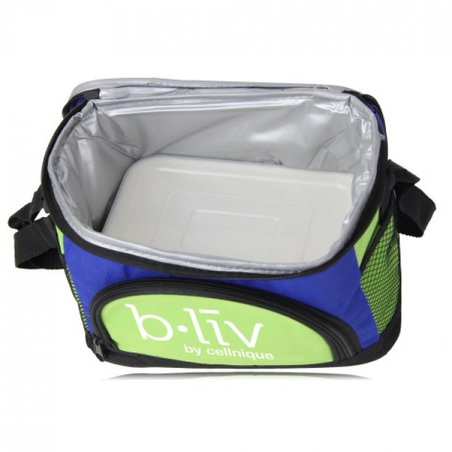 Picnic Lunch Refrigerator Thermal Bag