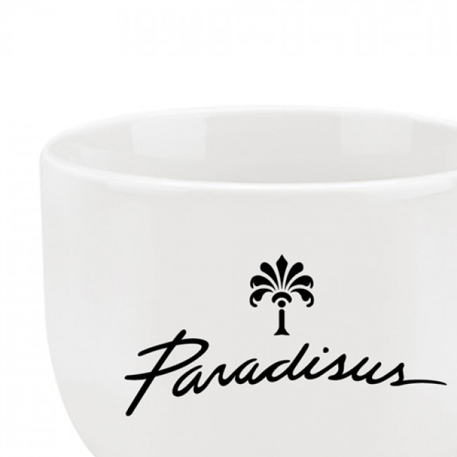Ironstone Ceramic Latte Mug