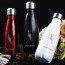 Double Walled Stainless Steel Hydration Bottle