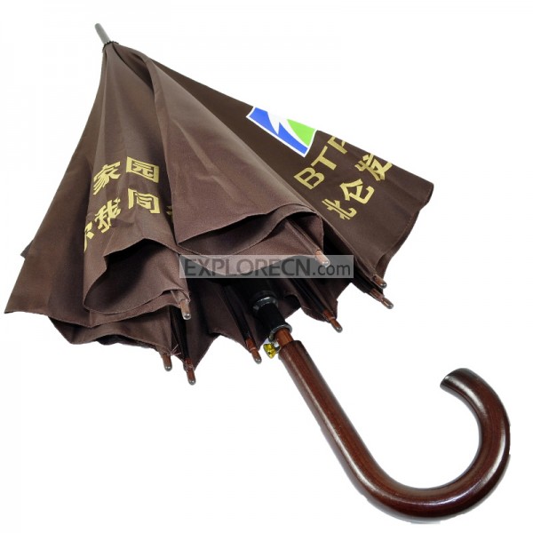 umbrella with wooden handle