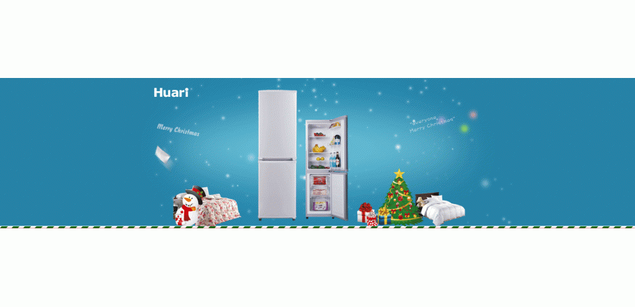 BCD-160LFB Refrigerator